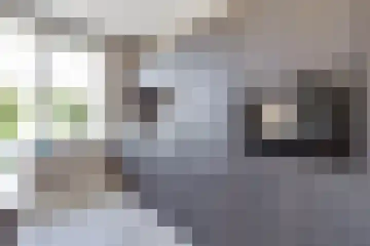Hoge Es 3 Aalten thumbnail 17