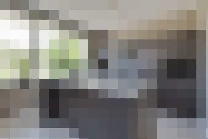 Hoge Es 3 Aalten thumbnail 19