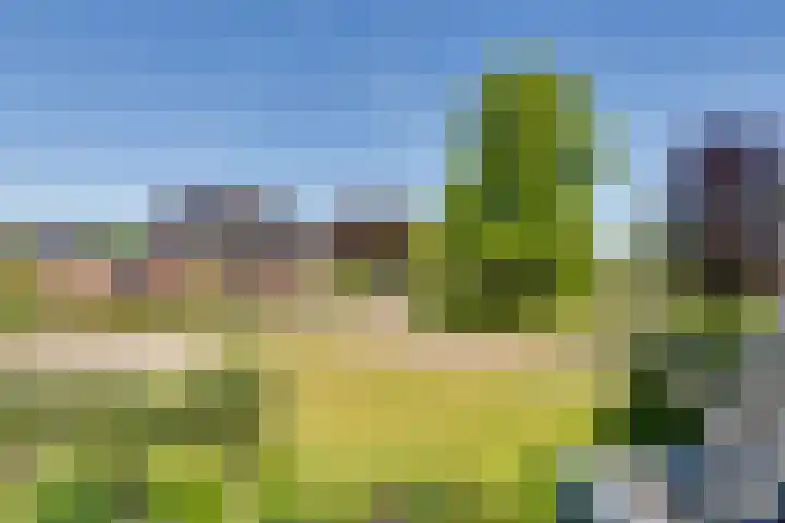 Hoge Es 3 Aalten thumbnail 31