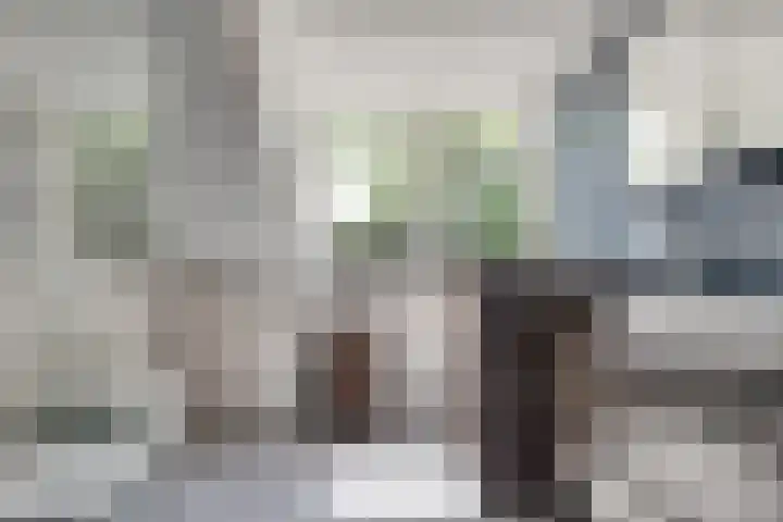 Hoge Es 3 Aalten thumbnail 32