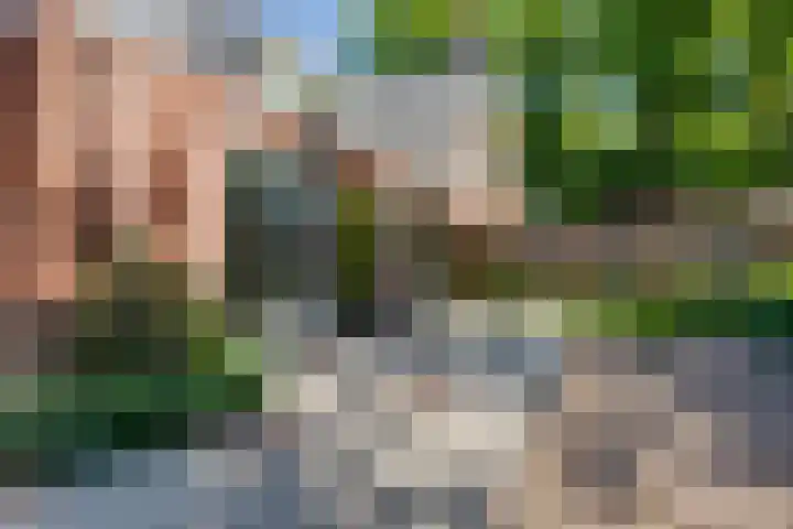 Hoge Es 3 Aalten thumbnail 35