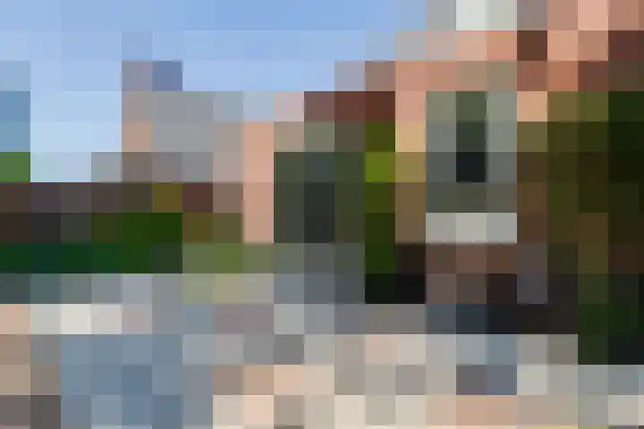 Hoge Es 3 Aalten thumbnail 36