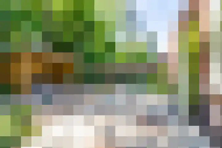 Hoge Es 3 Aalten thumbnail 37