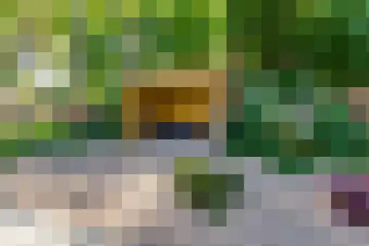 Hoge Es 3 Aalten thumbnail 38