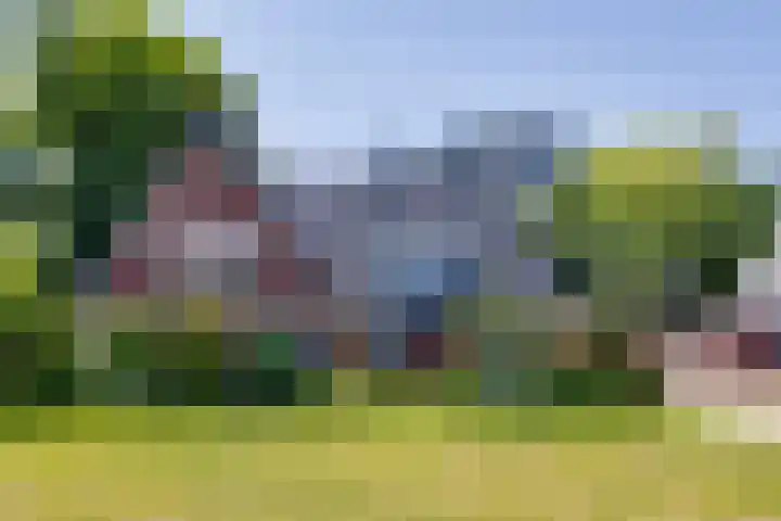 Hoge Es 3 Aalten thumbnail 4