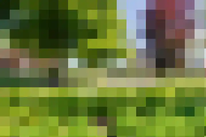 Hoge Es 3 Aalten thumbnail 41
