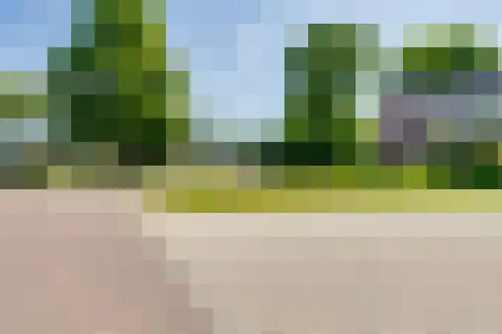 Hoge Es 3 Aalten thumbnail 43