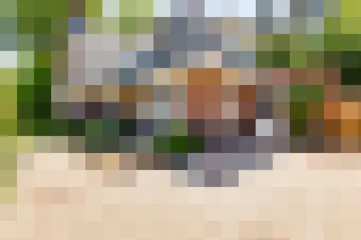 Hoge Es 3 Aalten thumbnail 6