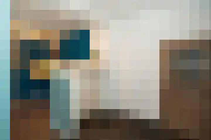 Hoge Hagt 61 Epe thumbnail 12