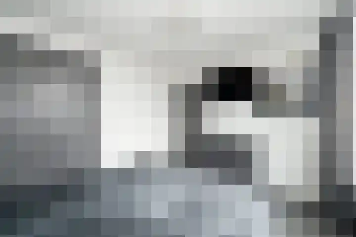 Hoge Hagt 61 Epe thumbnail 20