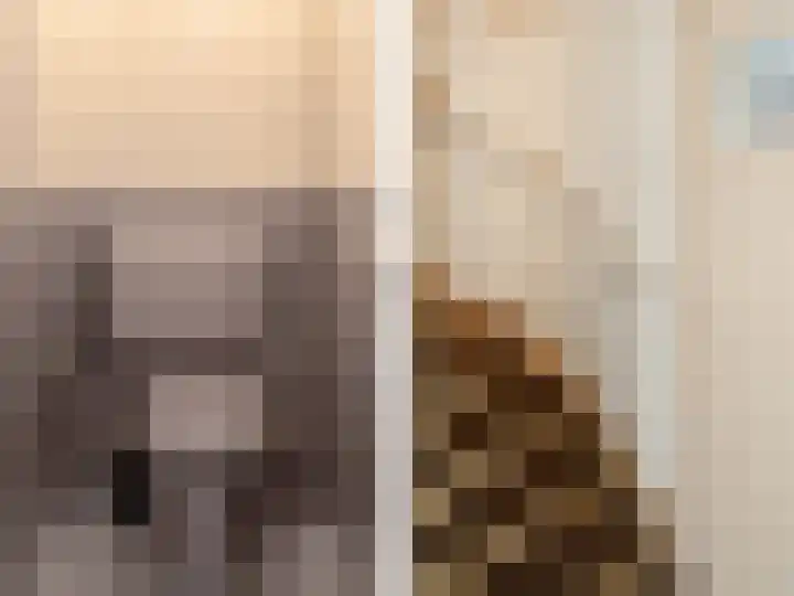 Hoge Hagt 61 Epe thumbnail 25