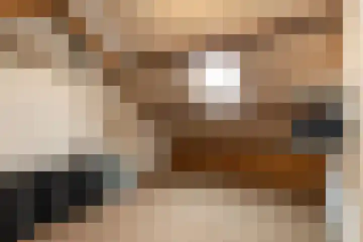 Hoge Hagt 61 Epe thumbnail 28