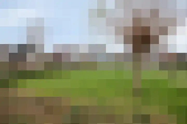 Hoge Oever 23 Pannerden thumbnail 10