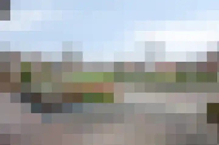 Hoge Oever 23 Pannerden thumbnail 16