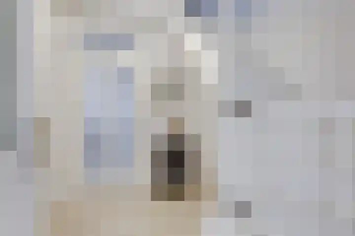 Hoge Oever 23 Pannerden thumbnail 17