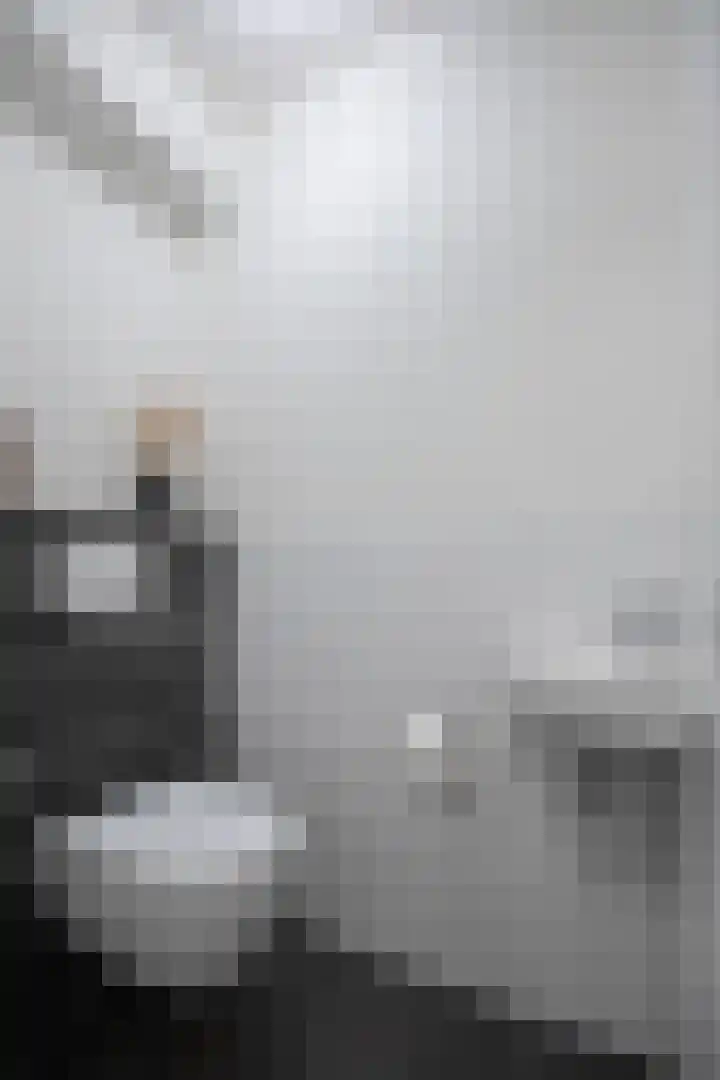 Hoge Oever 23 Pannerden thumbnail 18