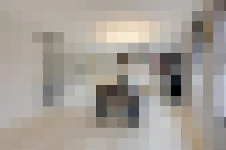 Hoge Oever 23 Pannerden thumbnail 26