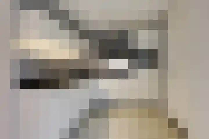Hoge Oever 23 Pannerden thumbnail 29