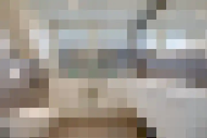 Hoge Oever 23 Pannerden thumbnail 4