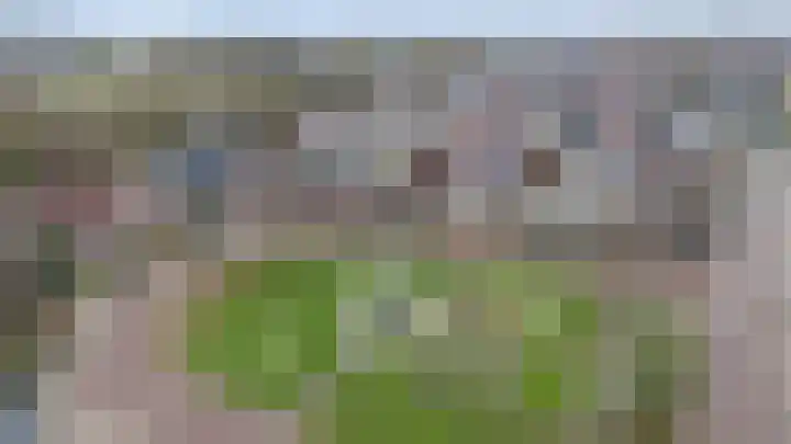 Hoge Oever 23 Pannerden thumbnail 5