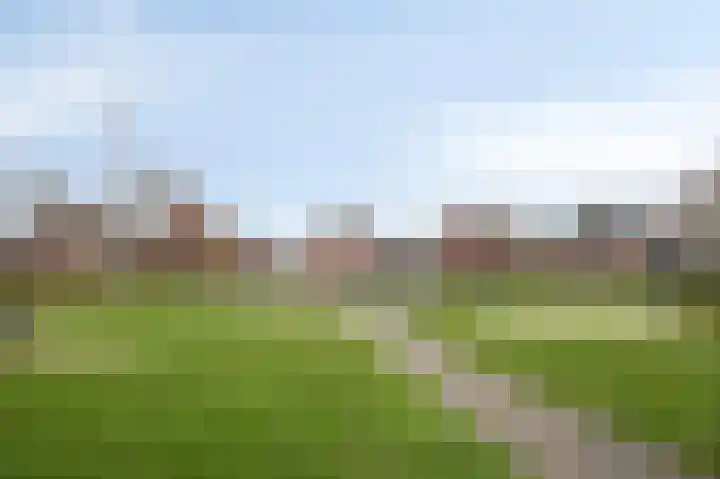 Hoge Oever 23 Pannerden thumbnail 67