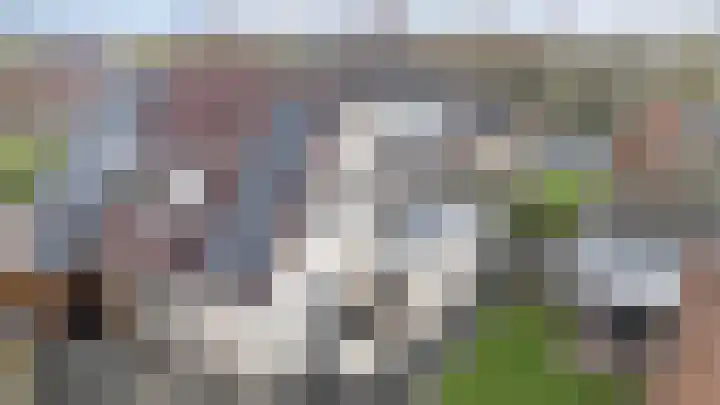 Hoge Oever 23 Pannerden thumbnail 9