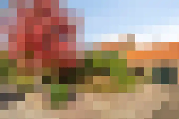 Hoge Rijndijk 21 dans Zoeterwoude