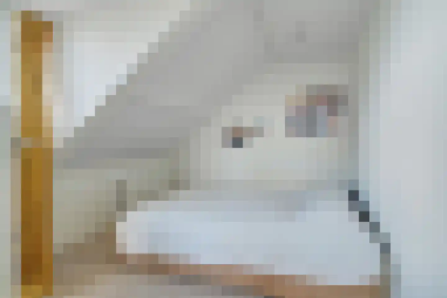 Hoge Steenweg 17 Breda thumbnail 37