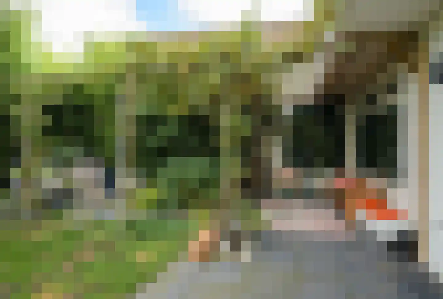 Hoge Steenweg 17 Breda thumbnail 41