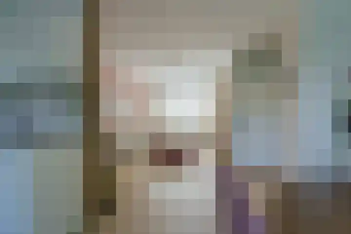 Hoge Tom 43 Nuenen thumbnail 16