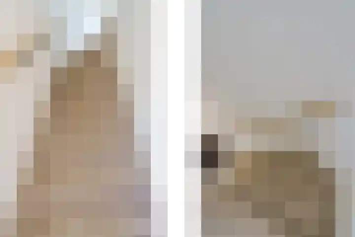 Hoge Tom 43 Nuenen thumbnail 21