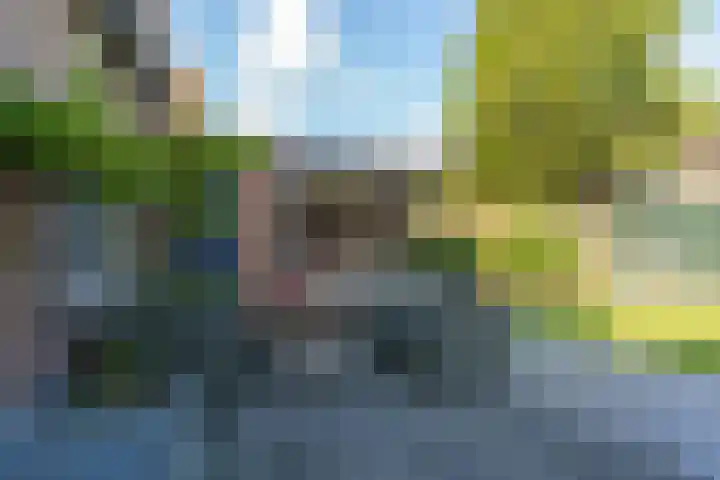 Hoge Tom 43 Nuenen thumbnail 39