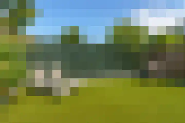 Hoge Tom 43 Nuenen thumbnail 43
