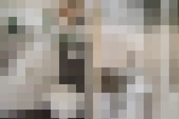 Hoge Weerd 57 Epe thumbnail 12