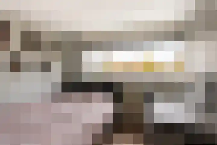 Hoge Weerd 57 Epe thumbnail 14
