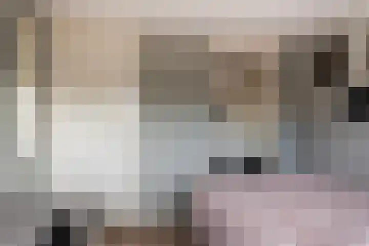 Hoge Weerd 57 Epe thumbnail 15