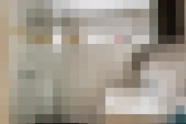 Hoge Weerd 57 Epe thumbnail 18