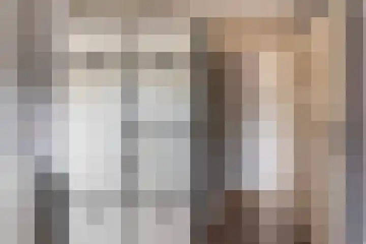 Hoge Weerd 57 Epe thumbnail 20