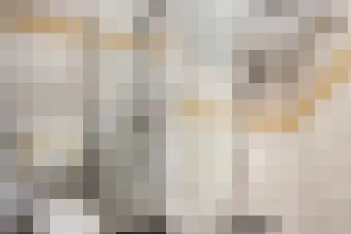 Hoge Weerd 57 Epe thumbnail 21