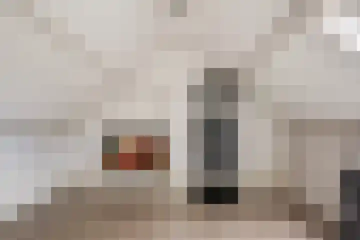 Hoge Weerd 57 Epe thumbnail 23