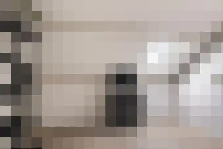 Hoge Weerd 57 Epe thumbnail 25