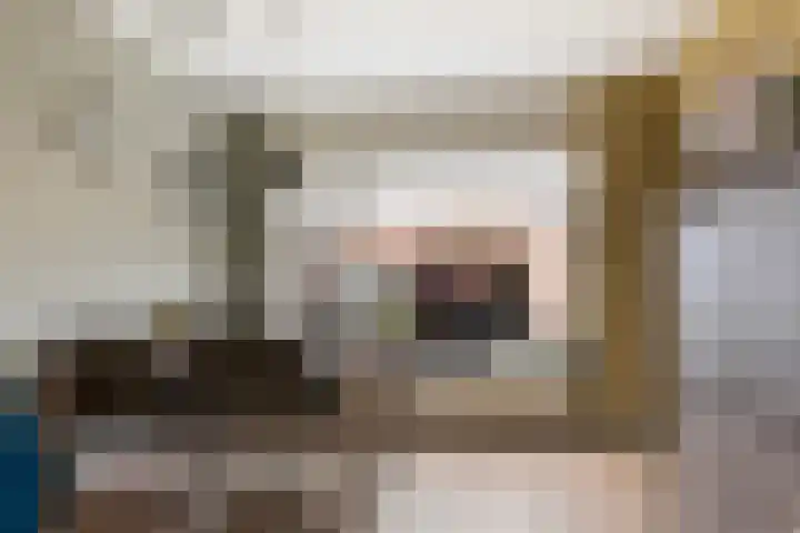 Hoge Weerd 57 Epe thumbnail 7