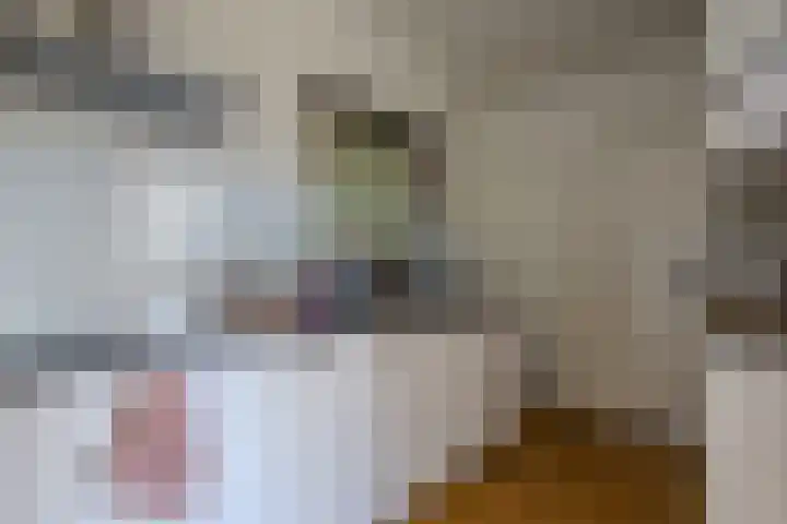 Hogebergdreef 55 Putte thumbnail 11