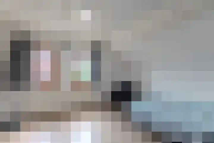 Hogebergdreef 55 Putte thumbnail 21
