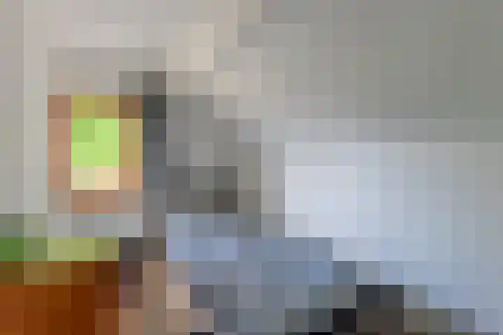 Hogebergdreef 55 Putte thumbnail 23