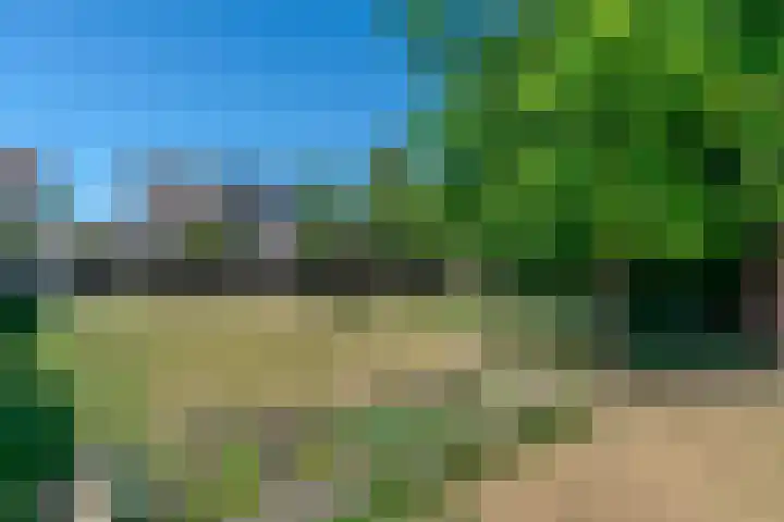 Hogebergdreef 55 Putte thumbnail 30