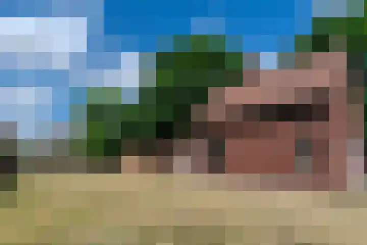 Hogebergdreef 55 Putte thumbnail 34