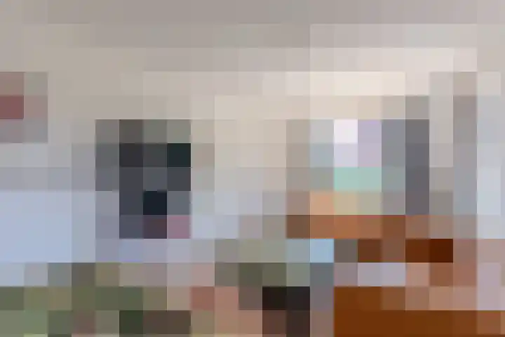 Hogebergdreef 55 Putte thumbnail 4