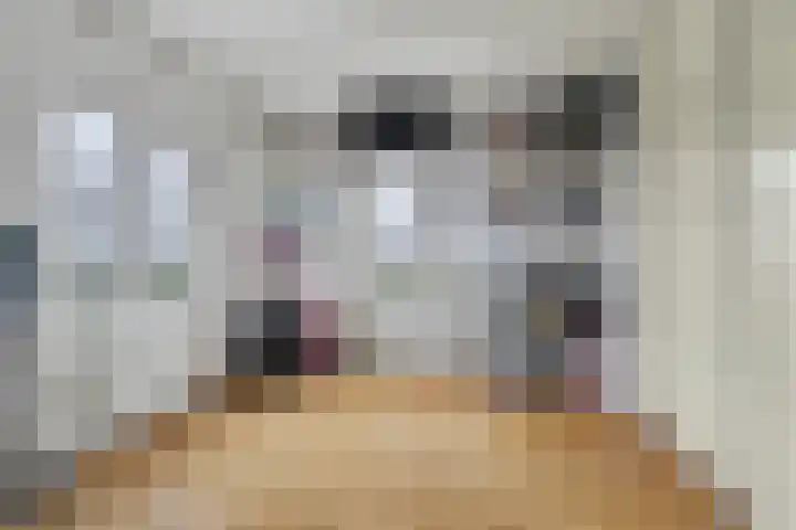 Hogebergdreef 9 Putte thumbnail 16