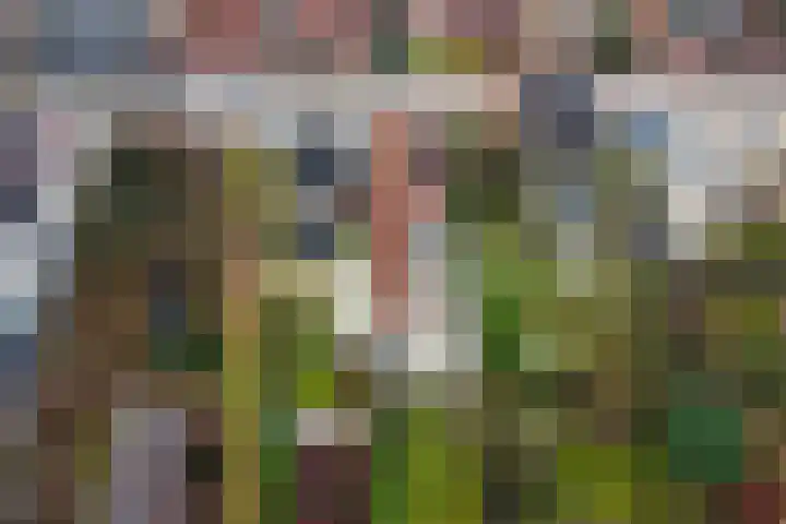 Hogebergdreef 9 Putte thumbnail 33